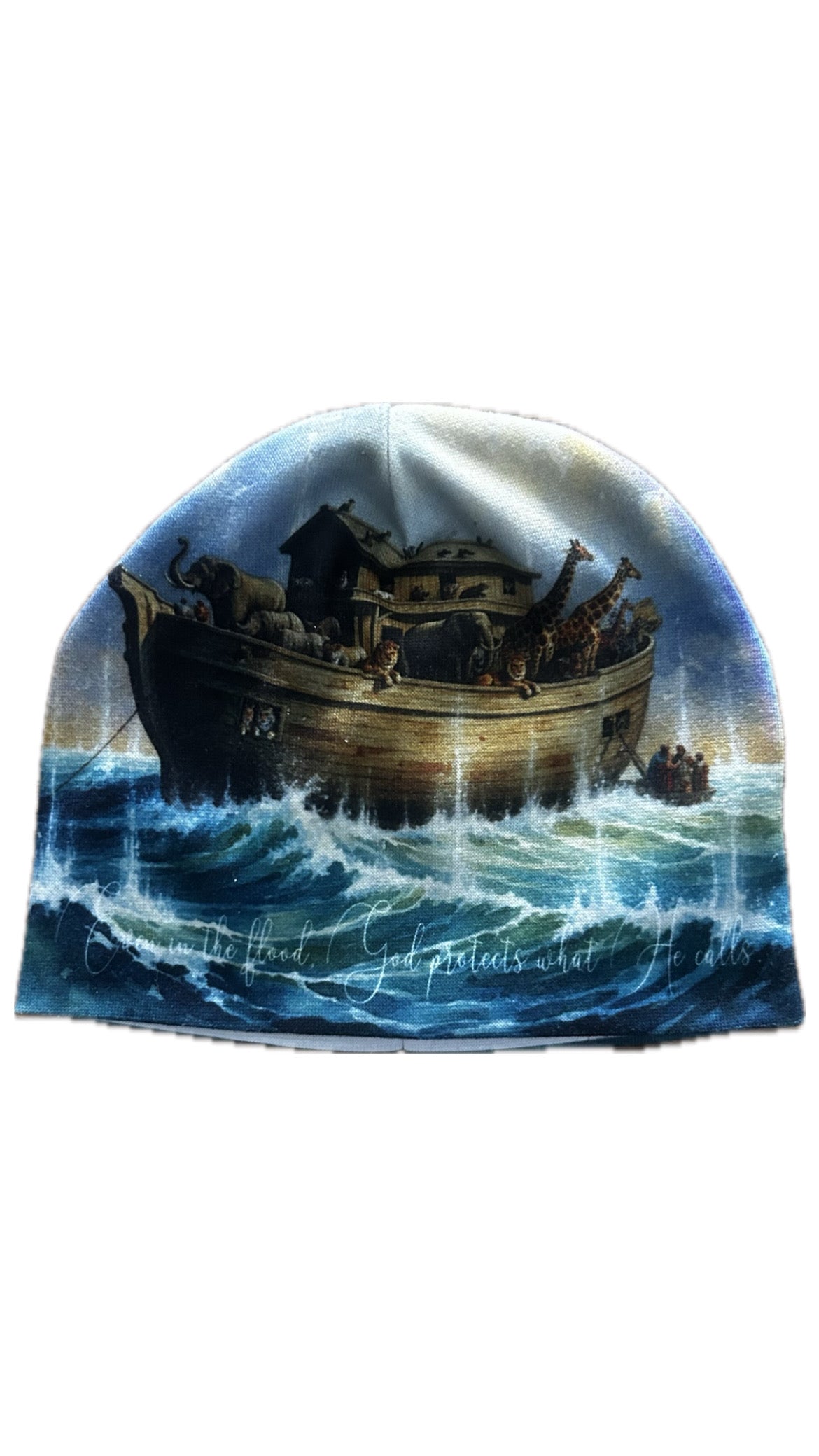 (Noah’s Ark) beanie